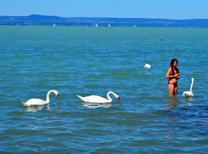 Boglár-Coop Üdülő Aparthotel Balatonboglár Esterno foto